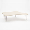 Amoeba Coffee Table- Large
