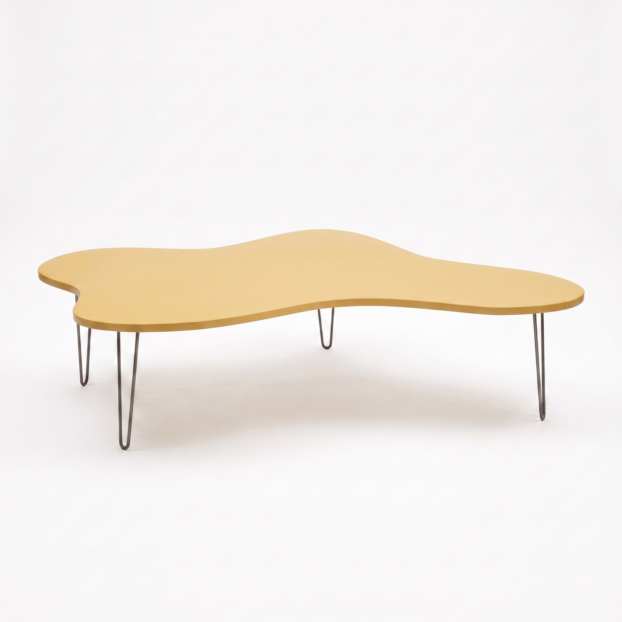 Amoeba Coffee Table- Small
